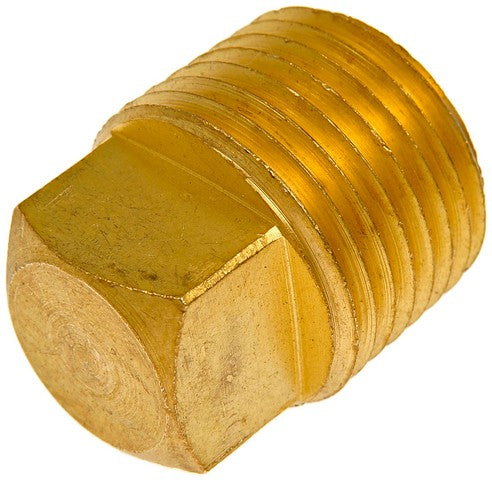 Pipe Plug Dorman 785-073D
