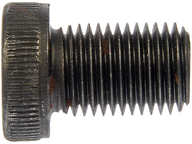 Screw Dorman 804-307BX