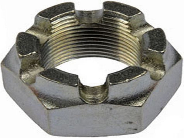 Nut Dorman 220-019BX
