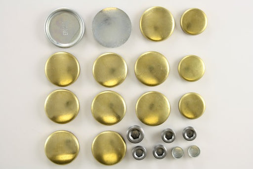 Engine Expansion Plug Kit Pioneer 830007