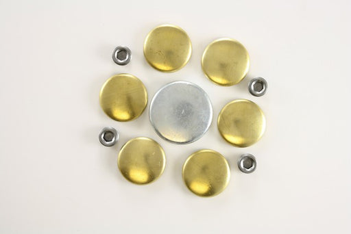 Engine Expansion Plug Kit Pioneer 830008