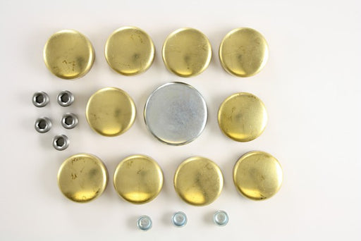 Engine Expansion Plug Kit Pioneer 830017