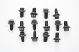 Engine Oil Pan Bolt Set Pioneer 854006