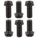 Clutch Flywheel Bolt Pioneer 859030
