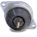 Engine Mount Anchor 8663