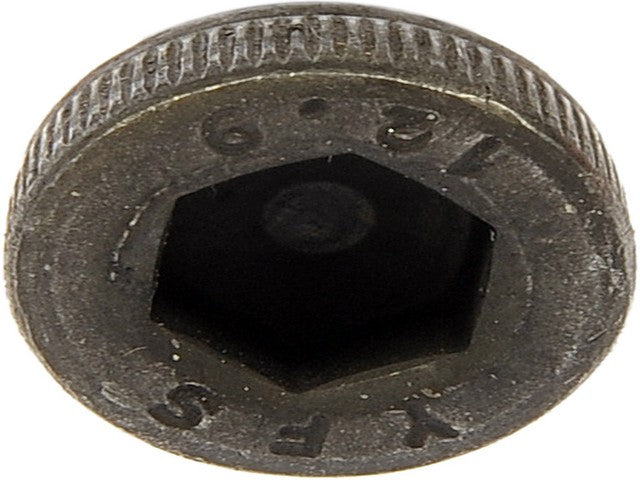 Screw Dorman 880-250BX