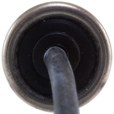Ignition Tune-Up Kit WVE 8T1035