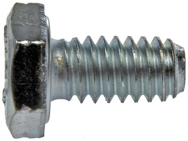 Screw Dorman 803-005BX