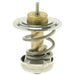 Engine Coolant Thermostat MotoRad 920-181