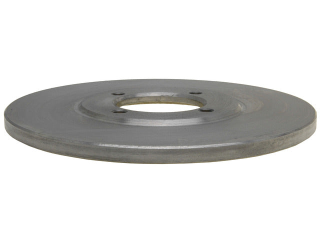 Disc Brake Rotor Raybestos Brakes 9254R
