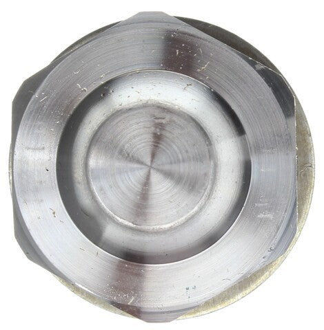 Engine Timing Chain Tensioner MAHLE Clevite 9-5481