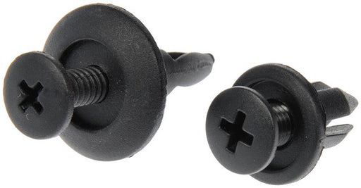 Nylon Rivet Assortment Dorman 961-045D