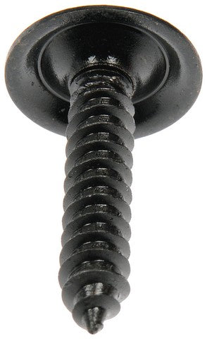 Trim Screw Assortment Dorman 961-201D