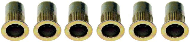 Rivet Nut Dorman 963-250D