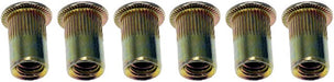 Rivet Nut Dorman 963-250D