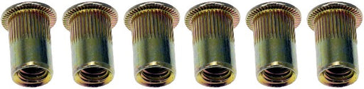 Rivet Nut Dorman 963-250D