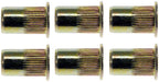Rivet Nut Dorman 963-250D