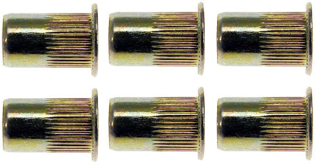 Rivet Nut Dorman 963-250D