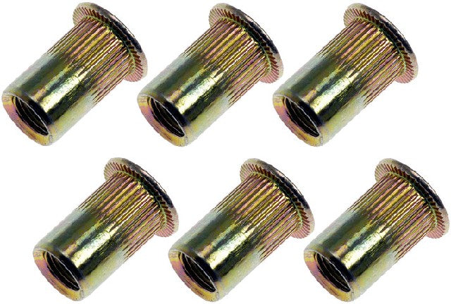 Rivet Nut Dorman 963-250D