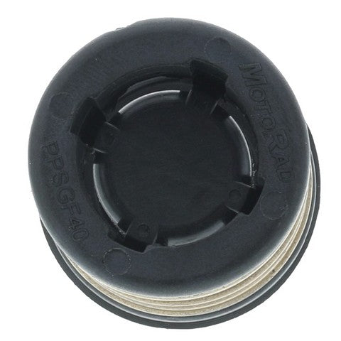 Engine Coolant Thermostat MotoRad 973-221