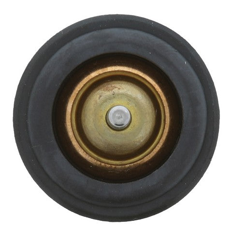 Engine Coolant Thermostat MotoRad 973-221