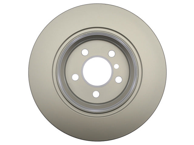 Disc Brake Rotor Raybestos Brakes 980119FZN