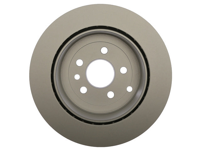 Disc Brake Rotor Raybestos Brakes 980641FZN