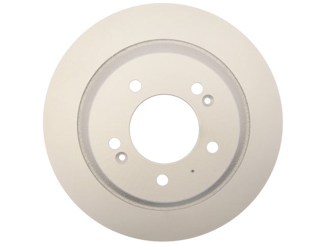 Disc Brake Rotor Raybestos Brakes 981009FZN