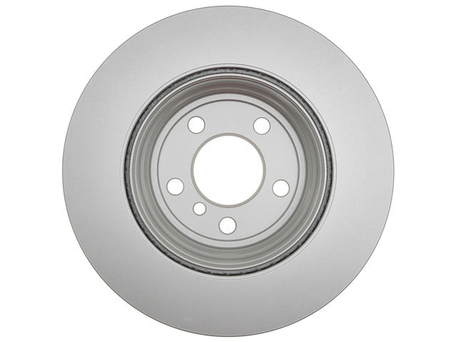 Disc Brake Rotor Raybestos Brakes 981065FZN