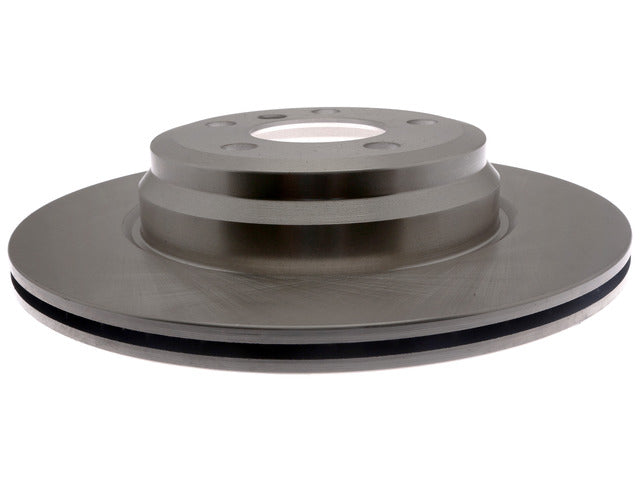 Disc Brake Rotor Raybestos Brakes 981065R