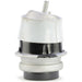 Engine Mount Anchor 9923