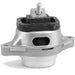 Engine Mount Anchor 9978