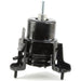 Engine Mount Anchor 9992