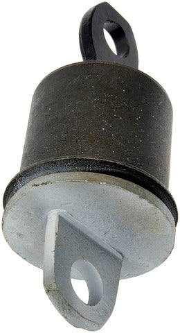 Axle Support Bushing Dorman MAS AB55519
