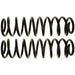 Coil Spring Set Moog Chassis 81077