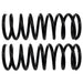 Coil Spring Set Moog Chassis 81618