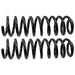 Coil Spring Set Moog Chassis 81738