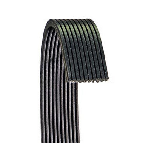 Serpentine Belt Dayco 6100741