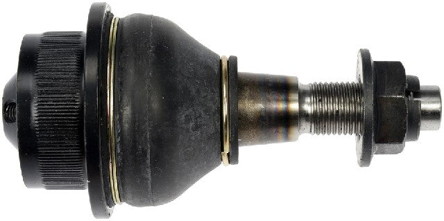 Suspension Ball Joint Dorman MAS B6541