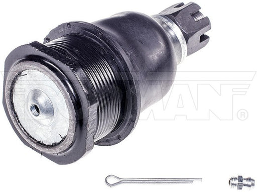 Suspension Ball Joint Dorman MAS B778