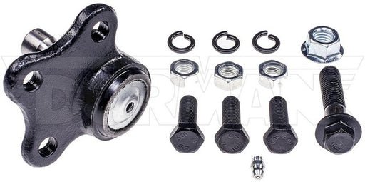 Suspension Ball Joint Dorman MAS B8683