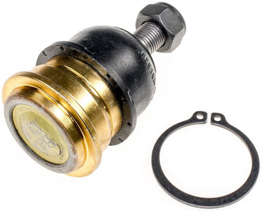 Suspension Ball Joint Dorman MAS B9855