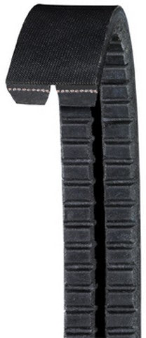 Accessory Drive Belt Dayco 2B17305