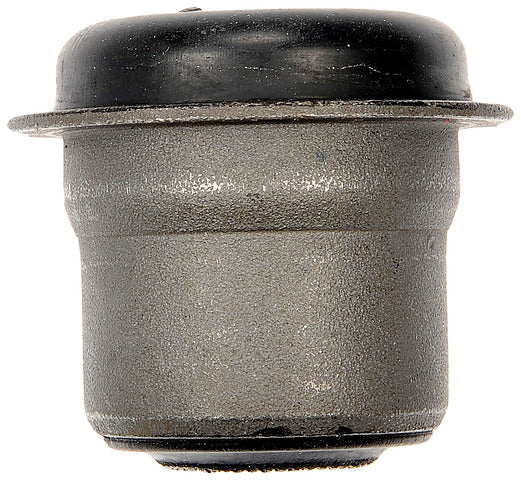 Suspension Control Arm Bushing Dorman MAS BC900299