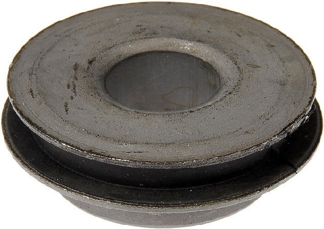Suspension Control Arm Bushing Dorman Premium Chassis BC900609PR
