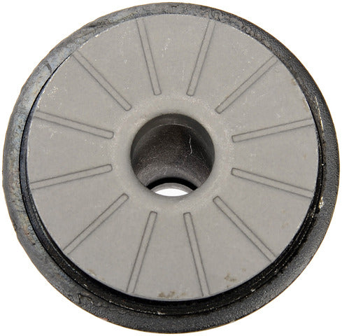 Suspension Control Arm Bushing Dorman Premium Chassis BC96209PR