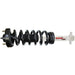 Suspension Strut and Coil Spring Assembly Rancho RS551834R