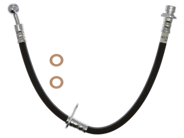 Brake Hydraulic Hose Raybestos Brakes BH384079