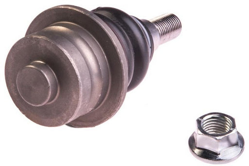 Suspension Ball Joint Dorman MAS BJ12205