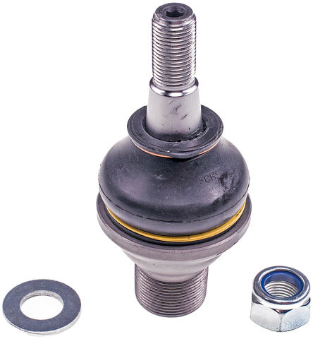 Suspension Ball Joint Dorman MAS BJ14365